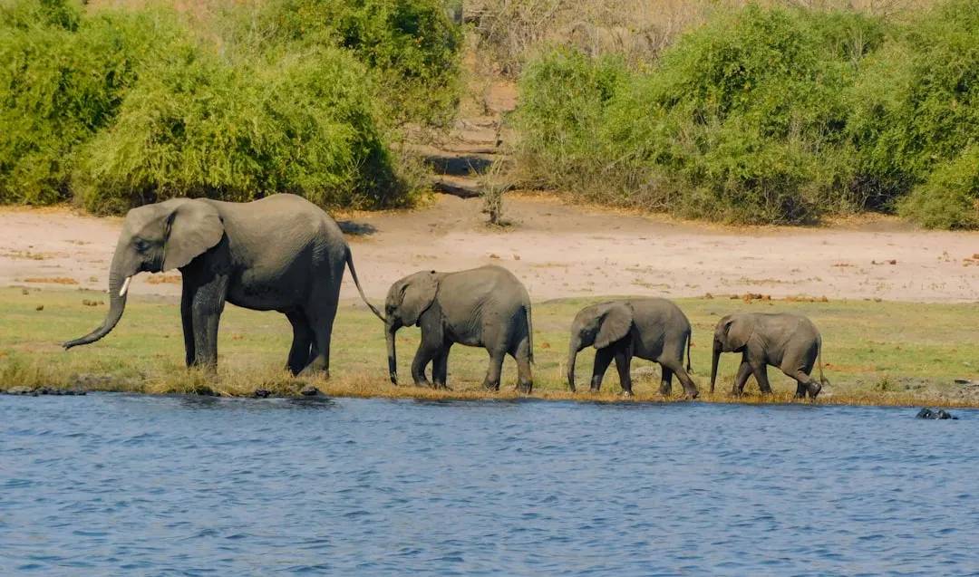 Botswana