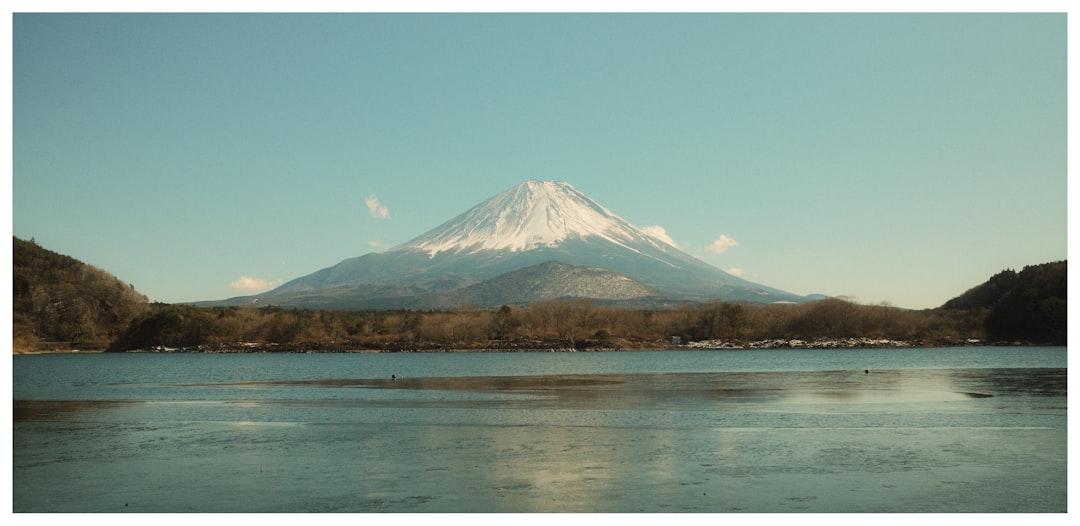 Japonya