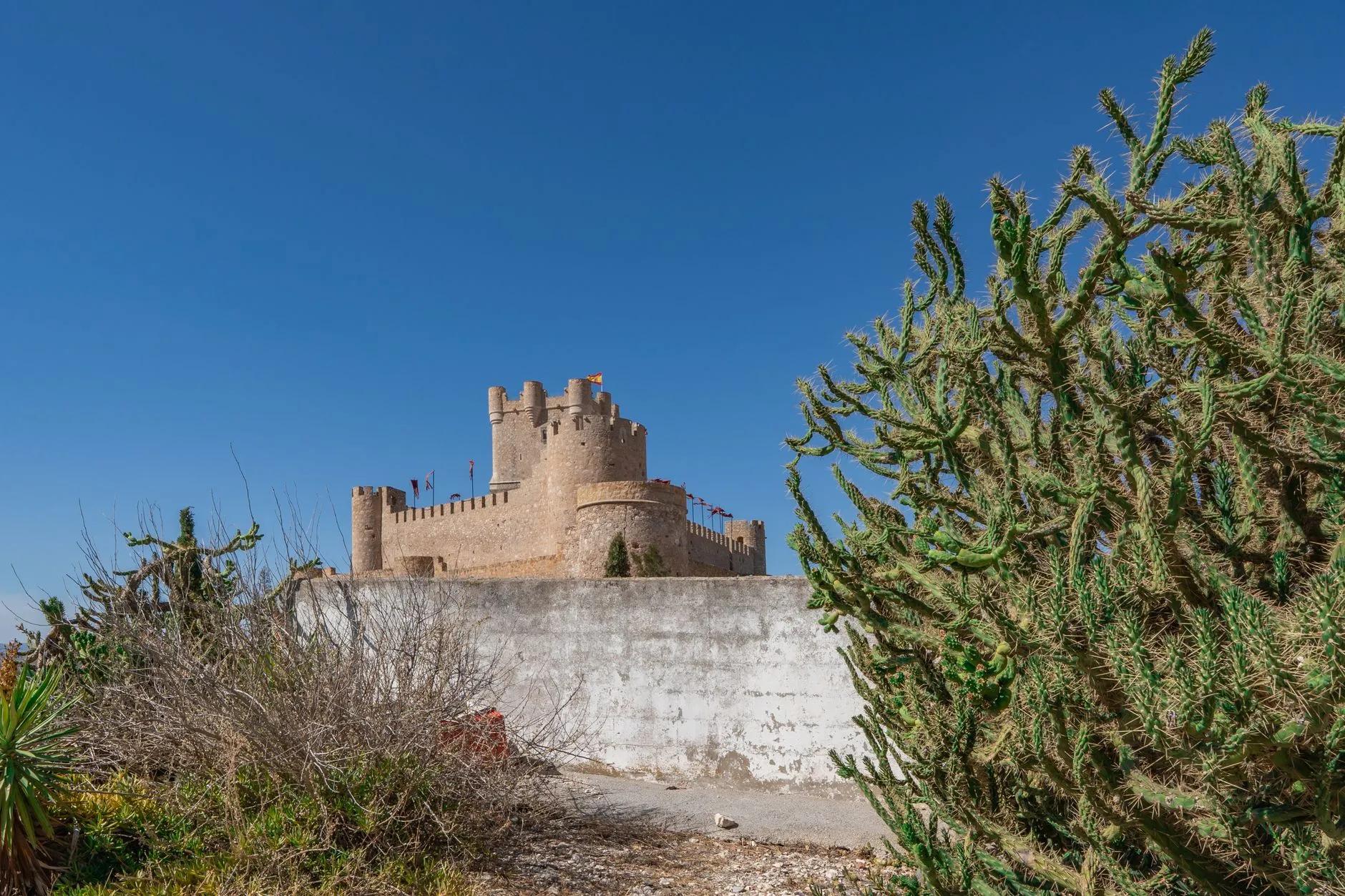 Atalaya