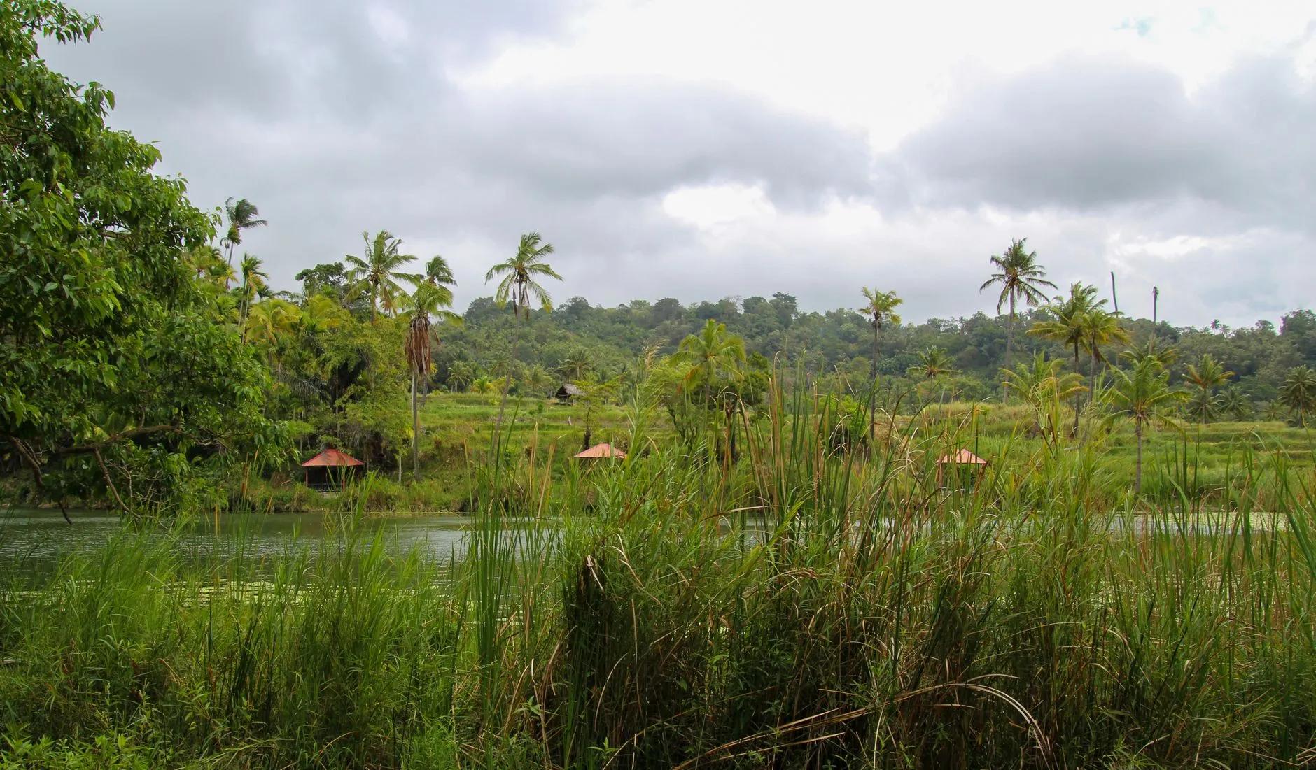 Baucau