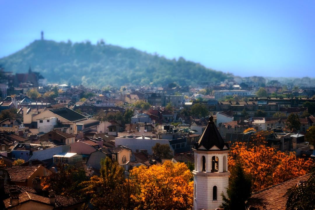 Berkovitsa