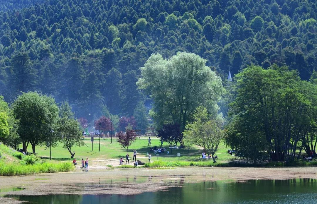 Bolu