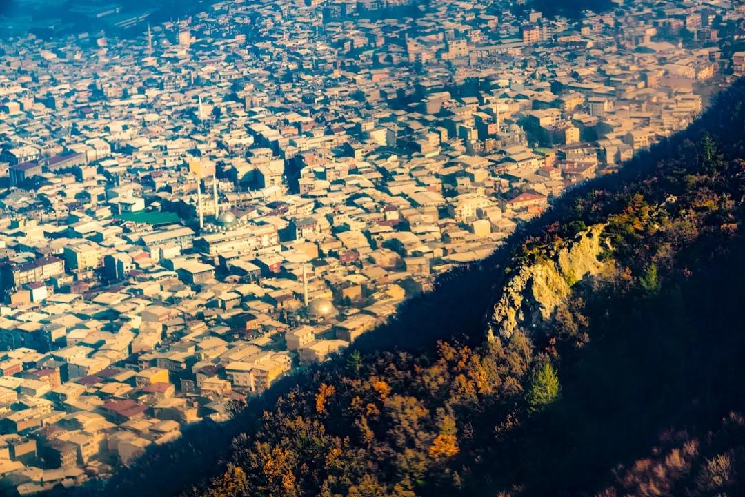 Bursa