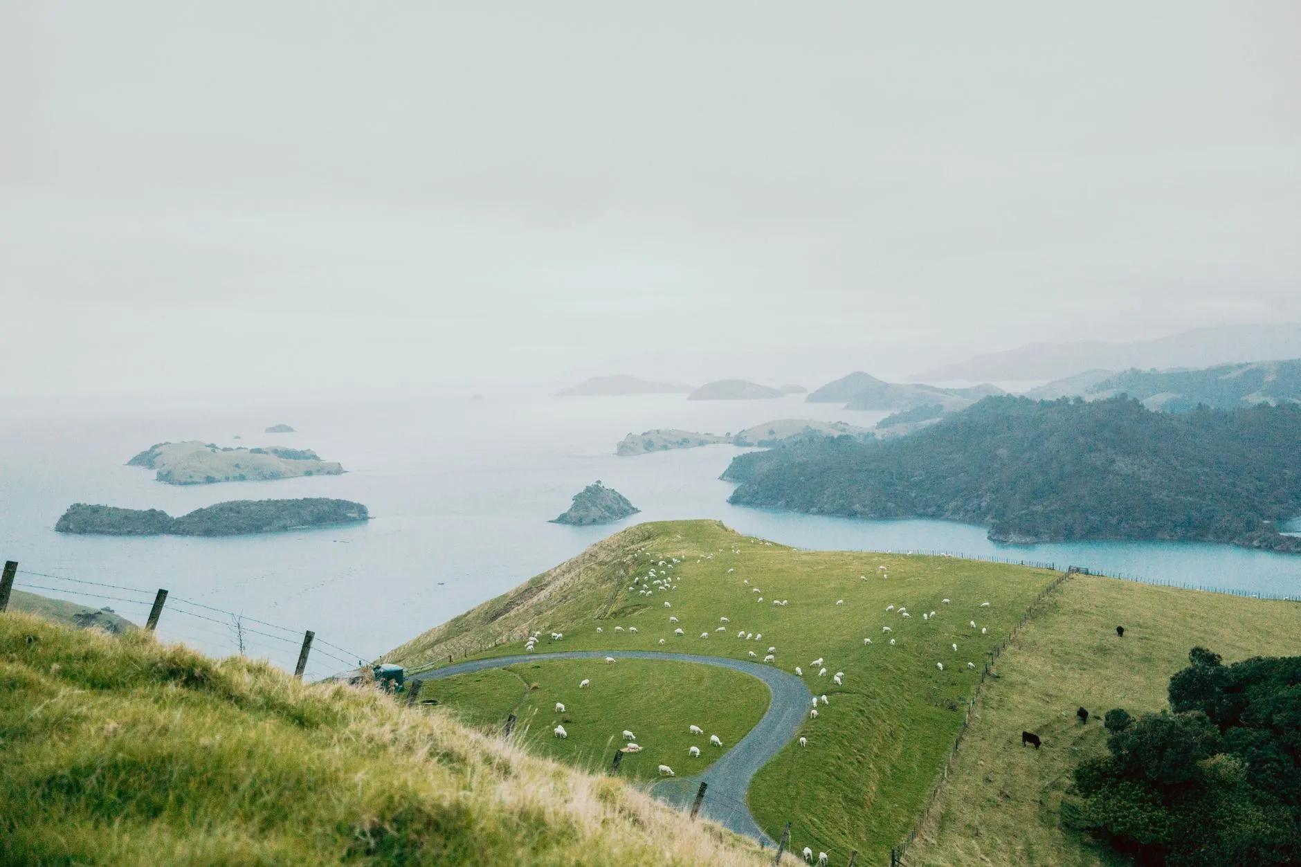 Coromandel