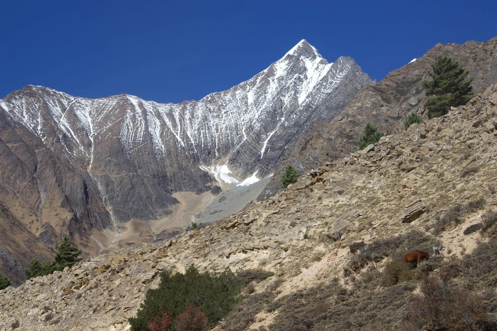 Dolpa