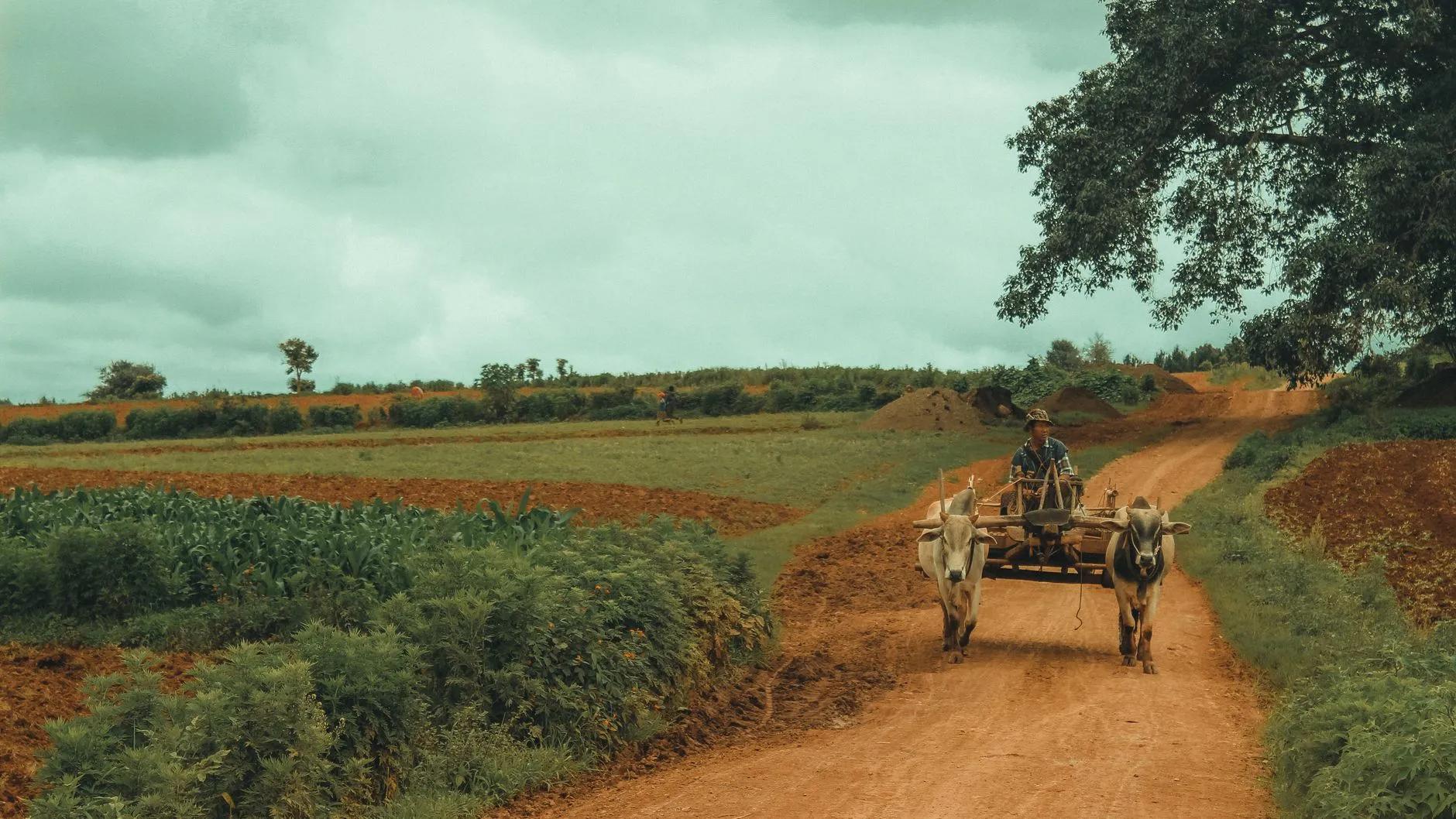 Kalaw