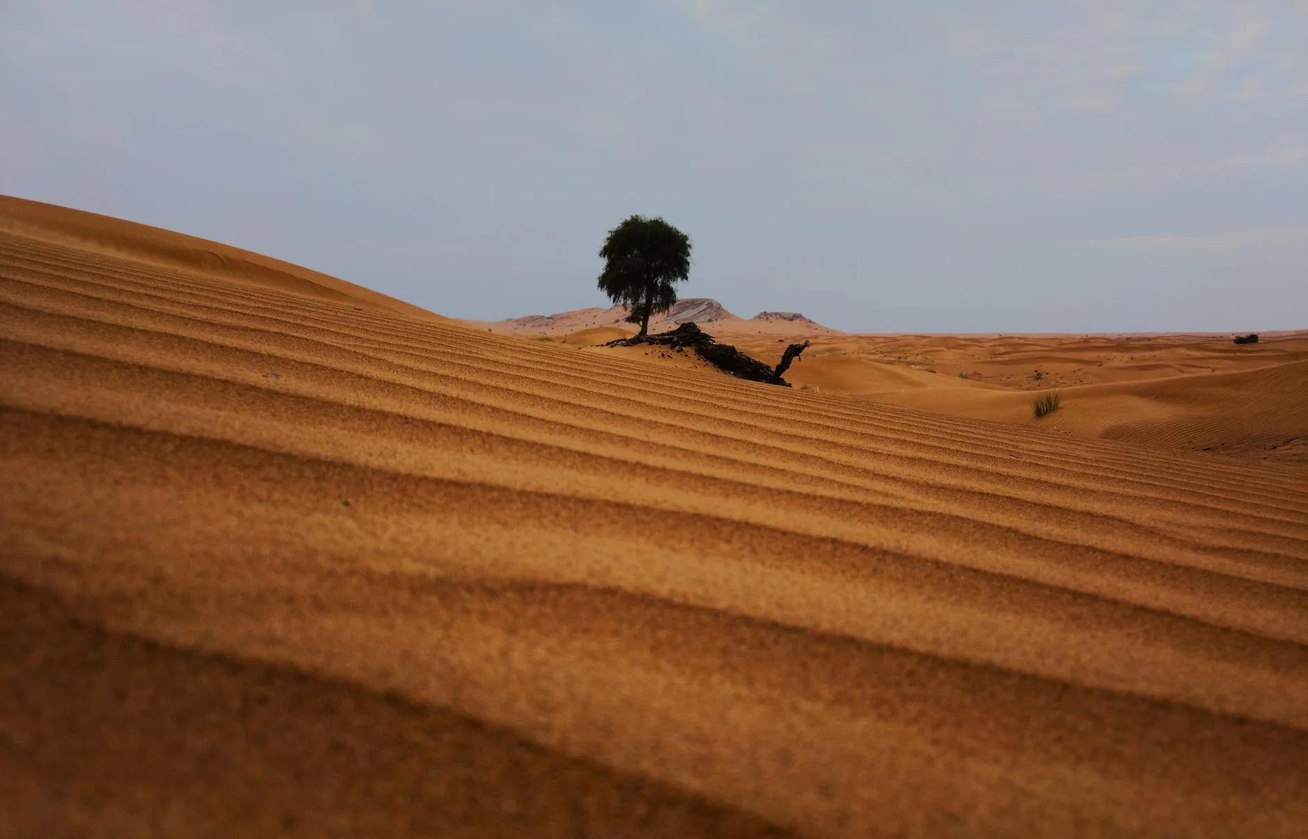 Lahbab
