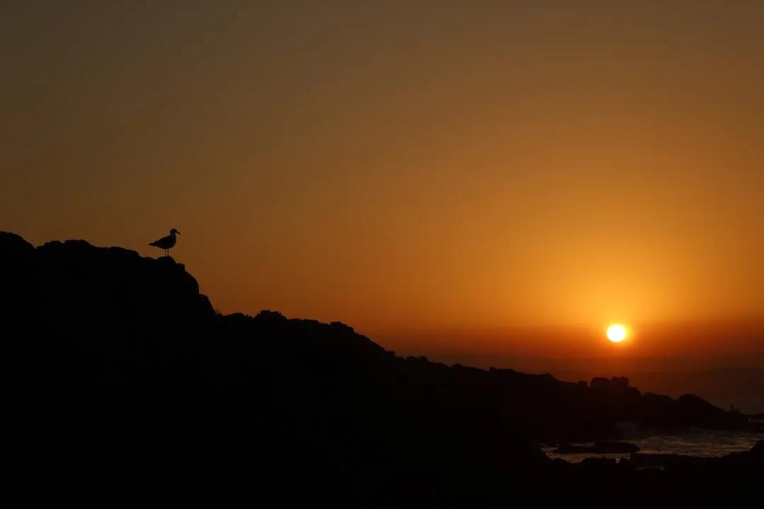 Mzamba(Wild Coast Sun)