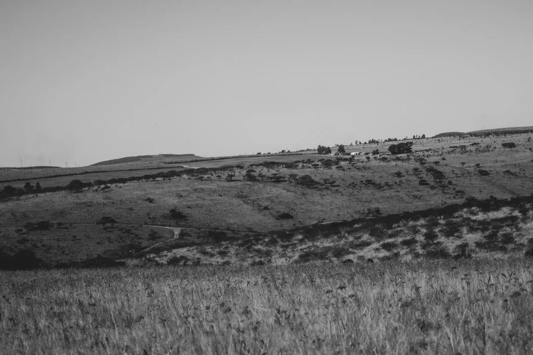 Pietermaritzburg