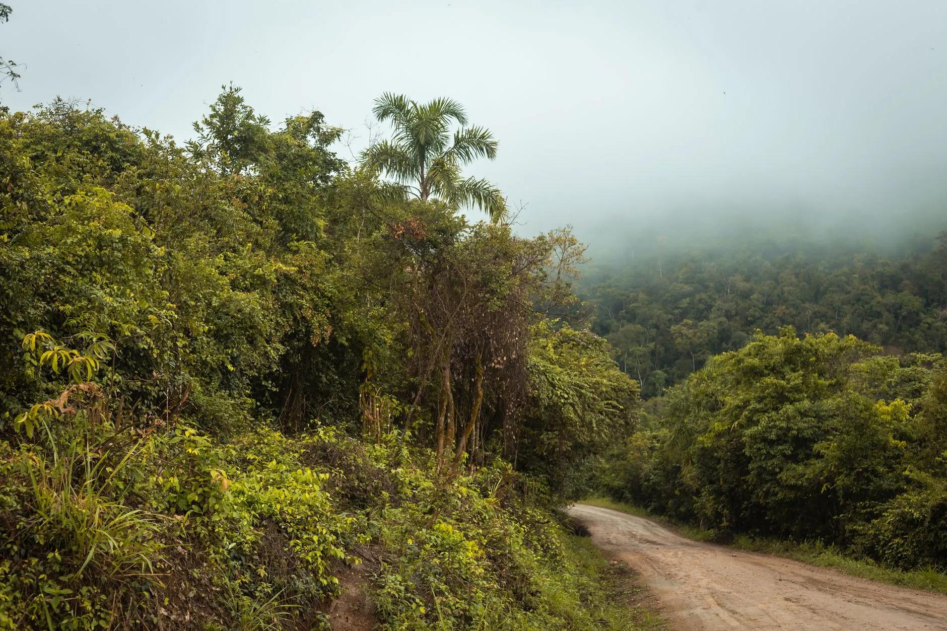 Tarapoto