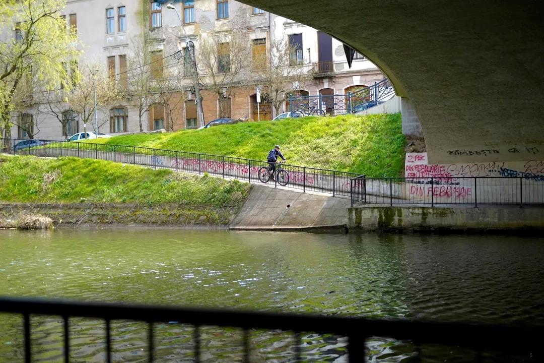 Timisoara