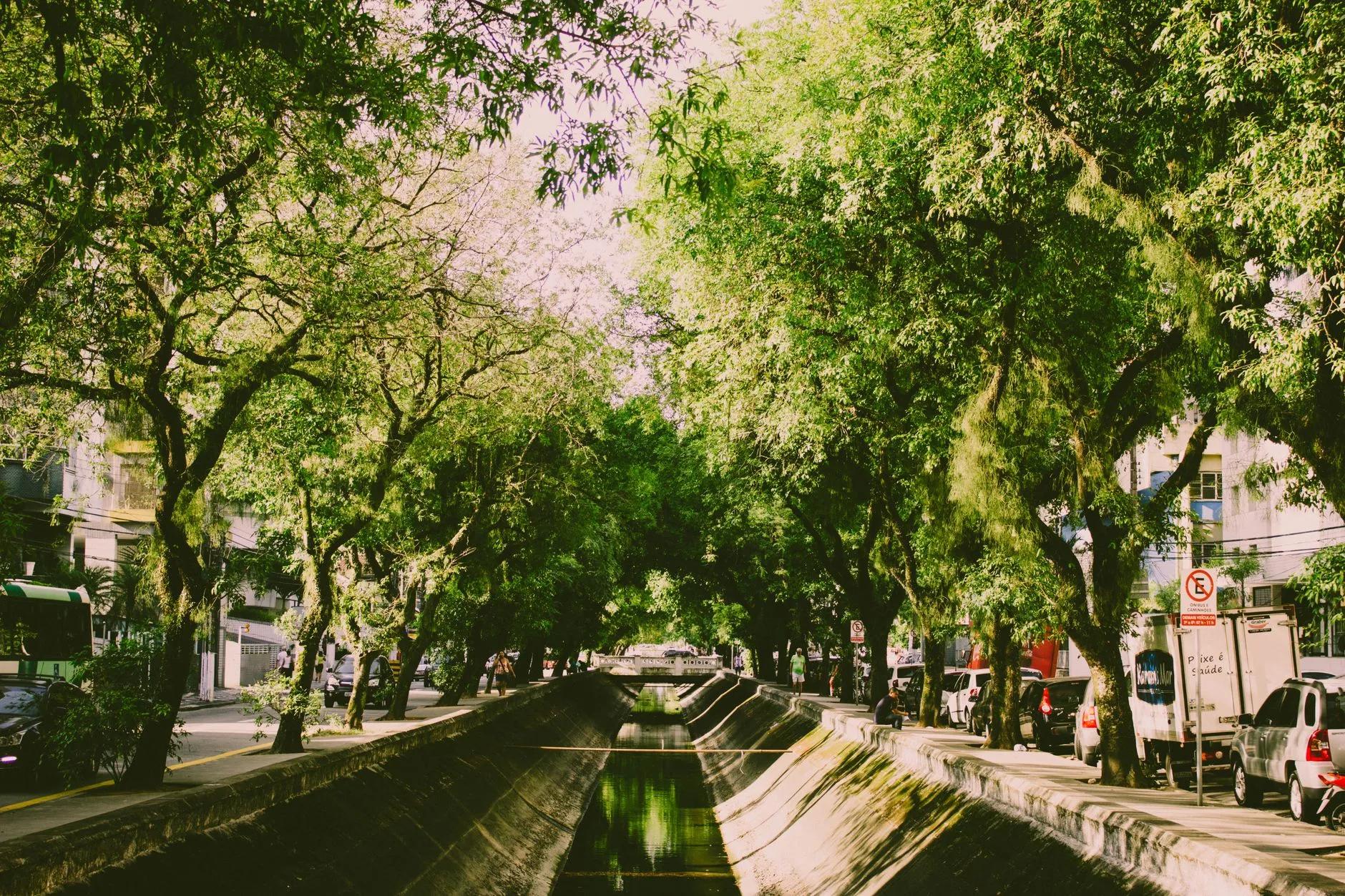 Víbora Park